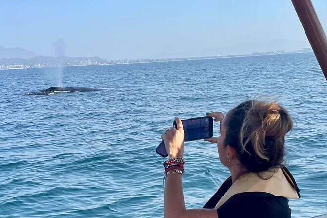 Whale Watching Experience in Puerto Vallarta - Key points at a glance