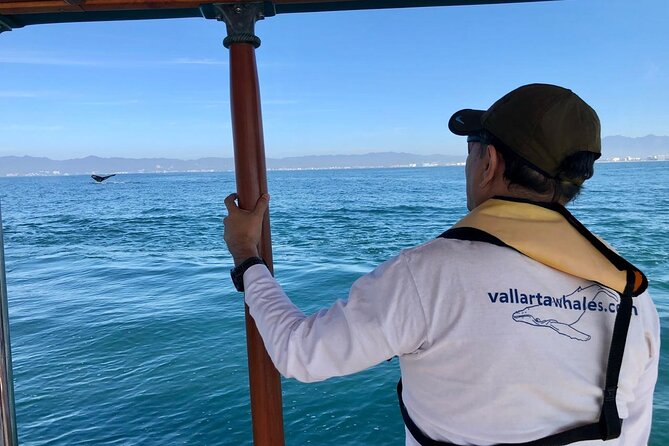 Whale Watching Experience in Puerto Vallarta - Why this Puerto Vallarta whale tour feels different
