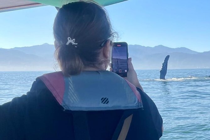 Whale Watching Experience in Puerto Vallarta - A closer look at Bruna, the 4-hour boat