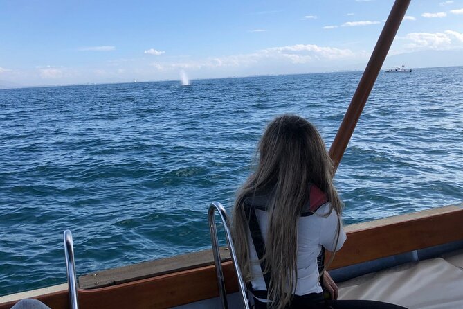 Whale Watching Experience in Puerto Vallarta - What happens in the Bay of Banderas