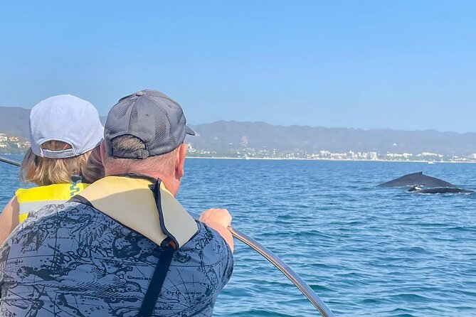 Whale Watching Experience in Puerto Vallarta - Meeting the boat at Los Peines