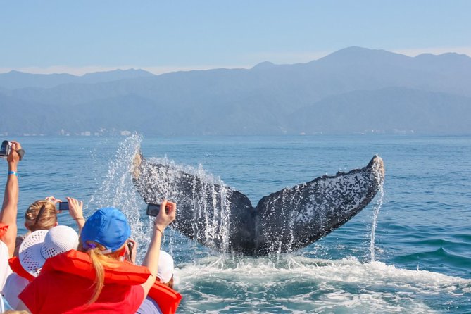 Whale Watching Experience - Meeting the crew at Ka’anapali Beach