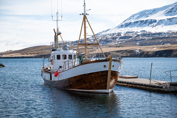 Whale Watching from Akureyri Port - Is $144.35 a fair price?