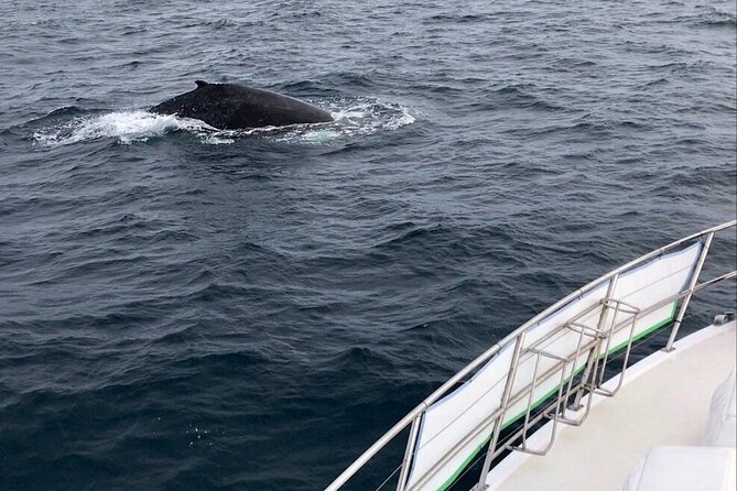 Whale Watching from Augusta in Western Australia - Setting out from Augusta Boat Harbour at 10:15