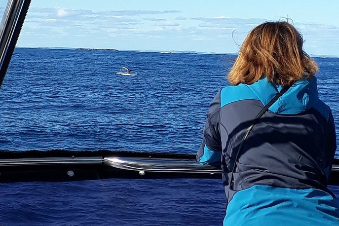 Whale Watching from Augusta in Western Australia - Who will enjoy this two-hour cruise most
