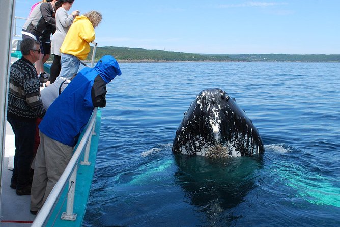 Whale Watching From Colombo - Parrot Rock Bridge and the short Mirissa stop