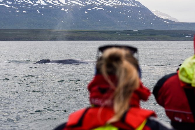 Whale Watching from Downtown Akureyri - Comfort, crowding, and the practical drawbacks