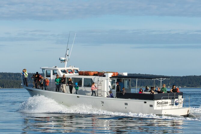 Whale Watching from Friday Harbor - Why Friday Harbor is such a good starting point
