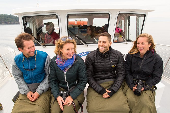 Whale Watching from Friday Harbor - What you may see besides orcas