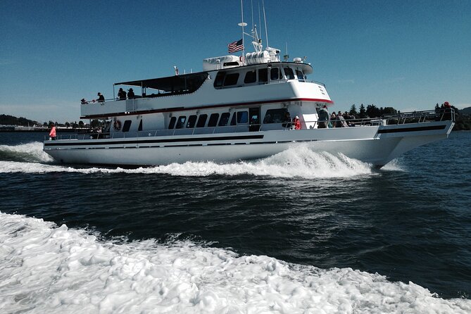 Whale Watching from Friday Harbor - Weather, cancellations, and the no-whale possibility