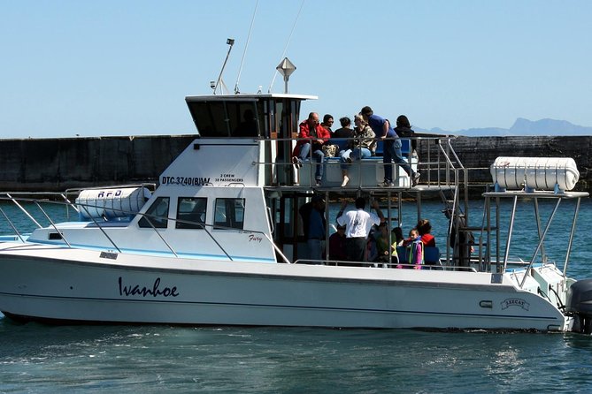 Whale Watching from Gansbaai - Choosing the best conditions and preparing well