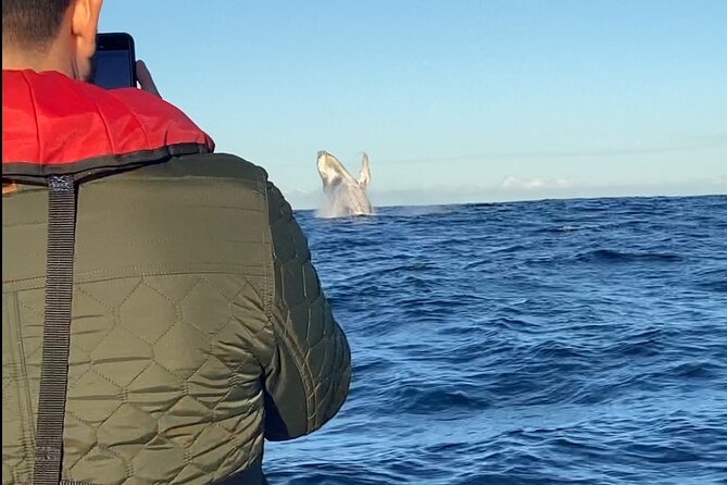 Whale Watching Gold Coast - Weather, comfort, and realistic expectations