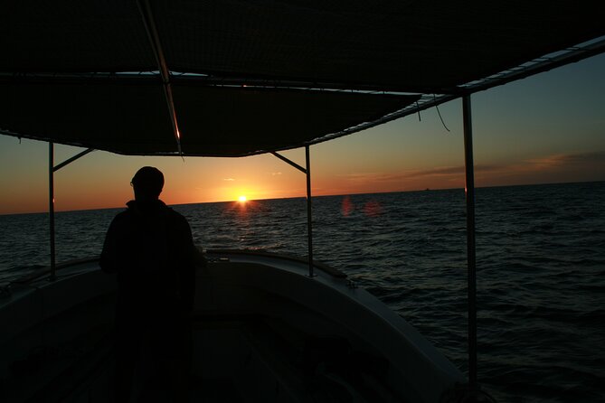 Whale Watching Group Tour in San Jose del Cabo - The hydrophone adds a second way to meet the whales