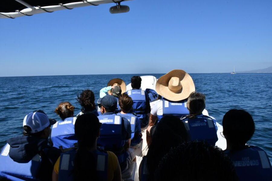 Whale Watching Guaranteed Experience in Puerto Vallarta - Leaving the marina on an APEX speedboat