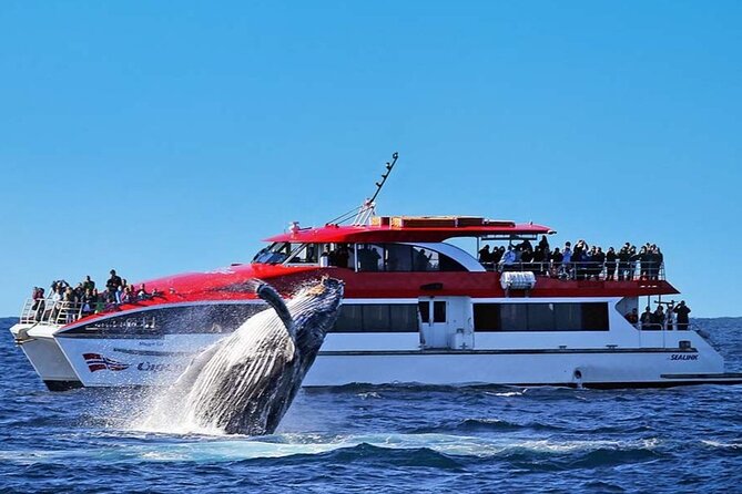 Whale Watching & Hop On Hop Off Sydney Harbour Explorer Cruise - Key points to know before booking