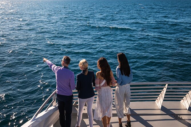 Whale Watching & Hop On Hop Off Sydney Harbour Explorer Cruise - How to get better value from two consecutive days