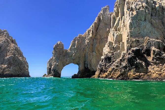 Whale Watching in Cabo: 2-Hour Small Group Tour to The Arch - How to prepare for the best possible trip