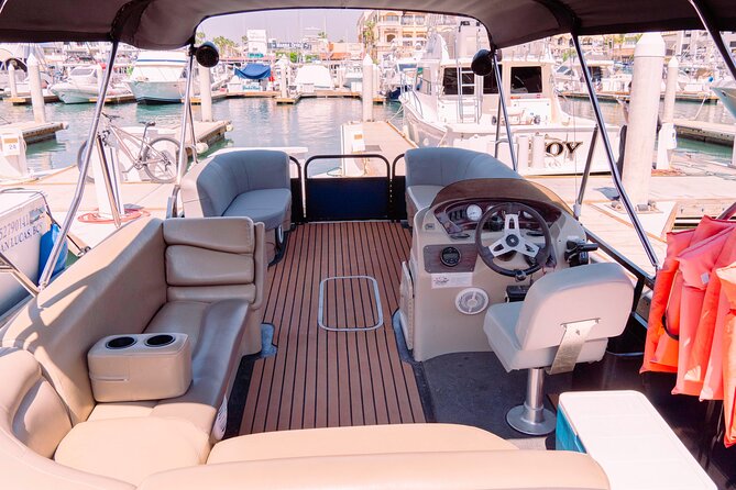 Whale Watching in Cabo San Lucas on board our Luxury Trimaran! - Searching for gray whales near Cabo