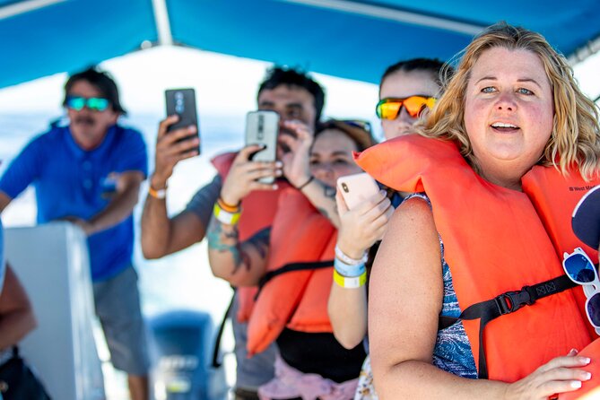 Whale Watching in Cabo San Lucas: Sightseeing Cruise and Shopping - Why this Cabo half-day tour works well