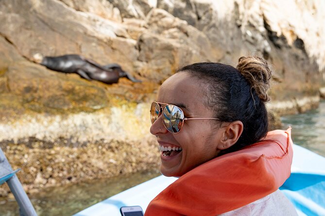 Whale Watching in Cabo San Lucas: Sightseeing Cruise and Shopping - Two hours on the Sea of Cortez