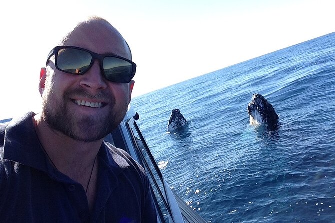 Whale Watching in Coffs Harbour - What the Boat Ride Feels Like