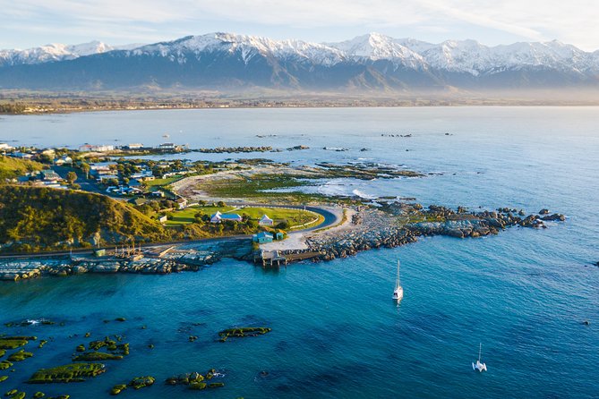 Whale Watching in Kaikoura by Boat - How much value do you get for $111.39?