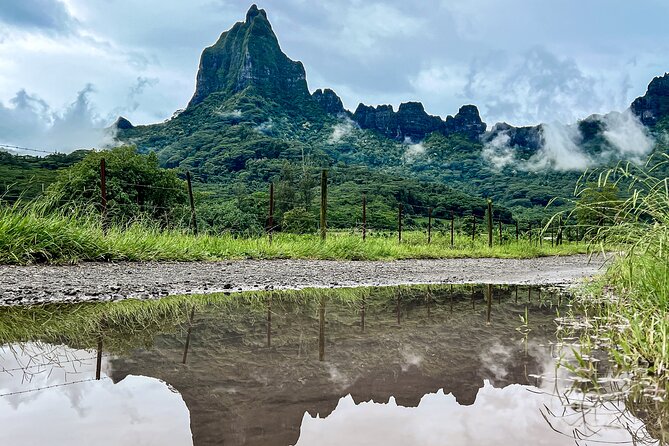 Whale watching in Moorea - A small group, with one important limitation