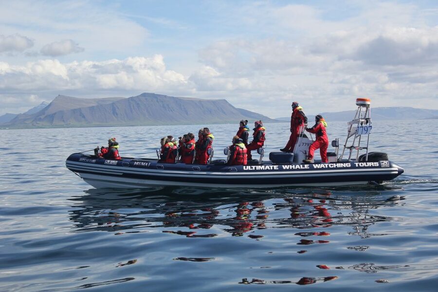 Whale Watching in Reykjavik by Speedboat - Who will enjoy this boat most