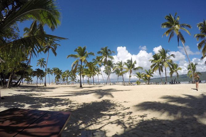Whale Watching in Samana - Cayo Levantado adds a gentler second half