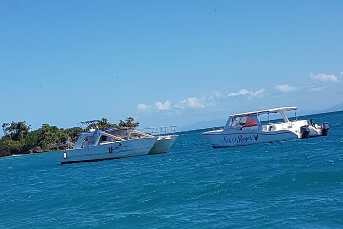 Whale Watching in Samana - Is $132.31 a fair price?