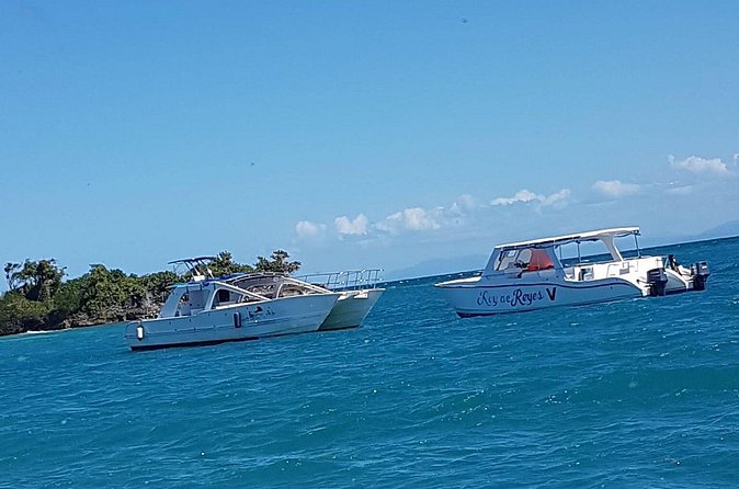 Whale Watching in Samana - What I would do to prepare
