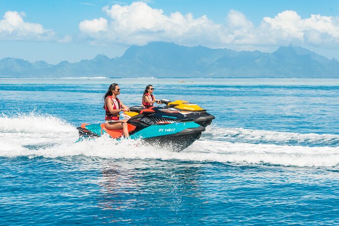 Whale watching in the calm of the peninsula with Tātahi tours - Weather, cancellations, and practical planning