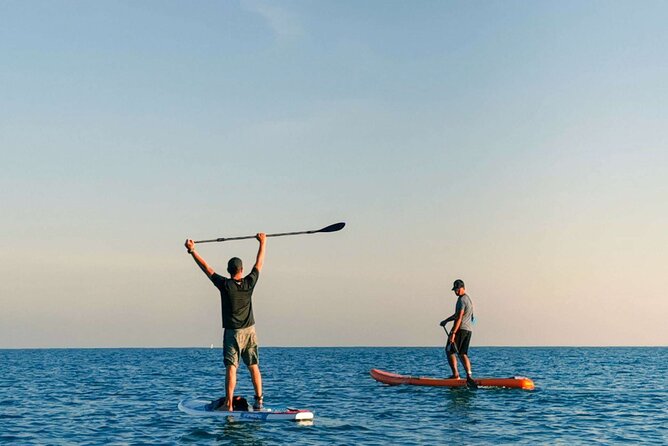 Whale Watching in Trincomalee by Catamaran cruise - Swimming, snorkeling, and paddleboarding from the catamaran