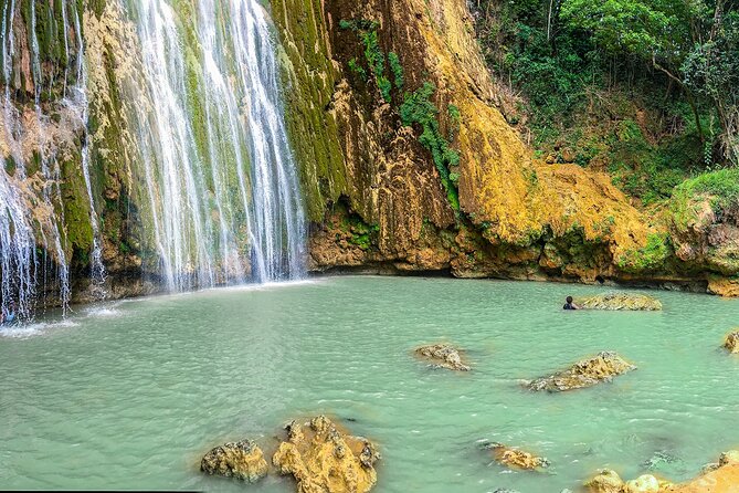 Whale Watching & Limón Waterfall Day Trip - The horse ride deserves careful consideration