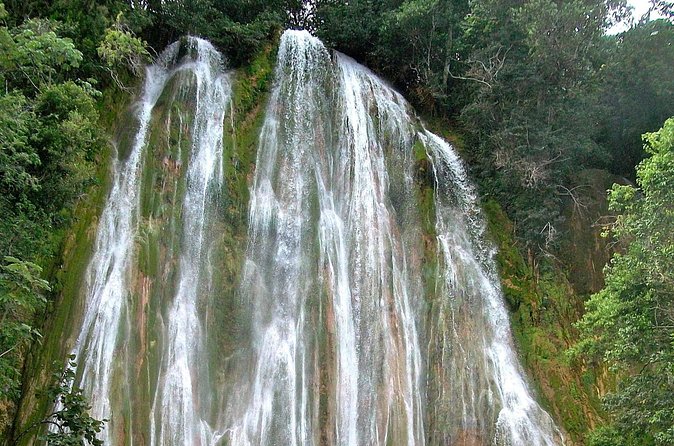 Whale Watching & Limón Waterfall Day Trip - Lunch after the rainforest visit