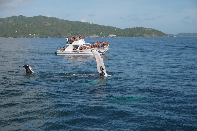 Whale Watching & Limón Waterfall Day Trip - Riding toward the 165-foot El Limón Waterfall