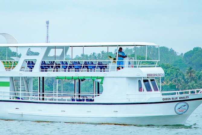 Whale Watching Mirissa Ultimate Tour in Sri Lanka with Breakfast - Five things to know before sailing