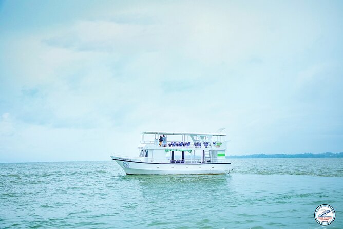 Whale Watching Mirissa Ultimate Tour in Sri Lanka with Breakfast - What the onboard setup means for comfort