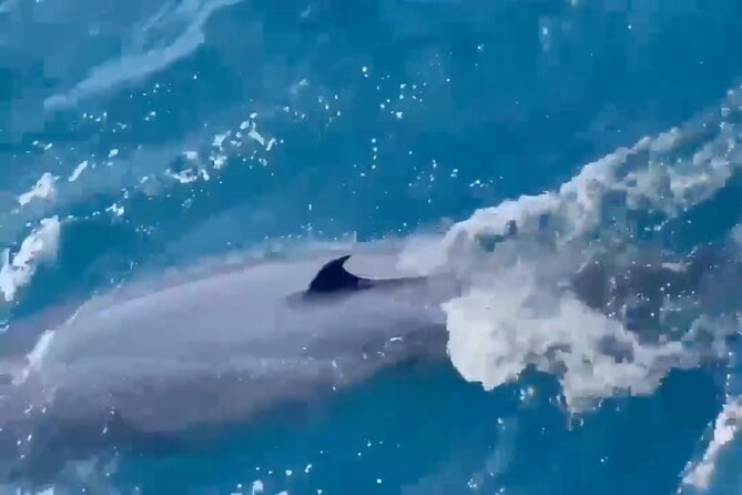Whale Watching Mirissa Ultimate Tour in Sri Lanka with Breakfast - Responsible watching and local knowledge