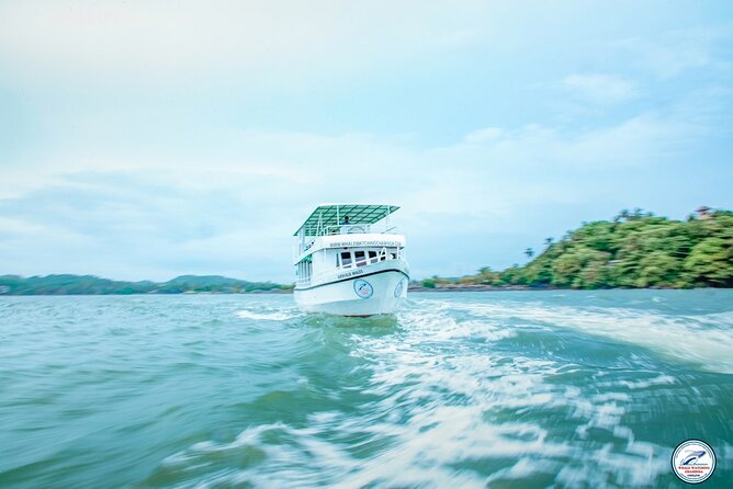 Whale Watching Mirissa Ultimate Tour in Sri Lanka with Breakfast - The three to four hours offshore