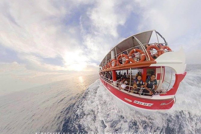Whale Watching Mirissa with Eagle Eye - Searching for blue whales off Mirissa