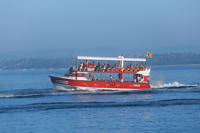 Whale Watching Mirissa with Eagle Eye - Who should book this morning at sea?