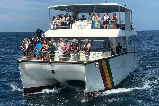 Whale Watching Mirissa with ( WWC ) - Setting out from Mirissa at 6:00 a.m.