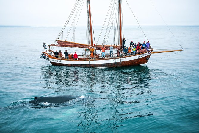 Whale Watching on a Traditional Oak Sailing Ship from Husavik - Getting to the harbor in Húsavík