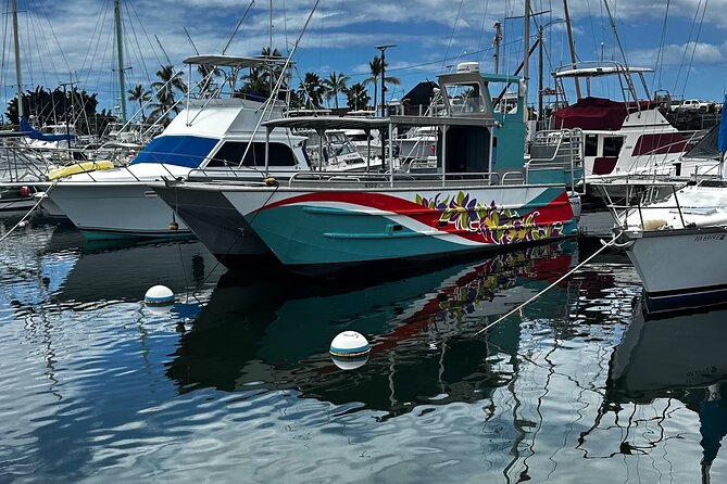 Whale Watching on Big island - Leaving Honokohau Harbor for open water