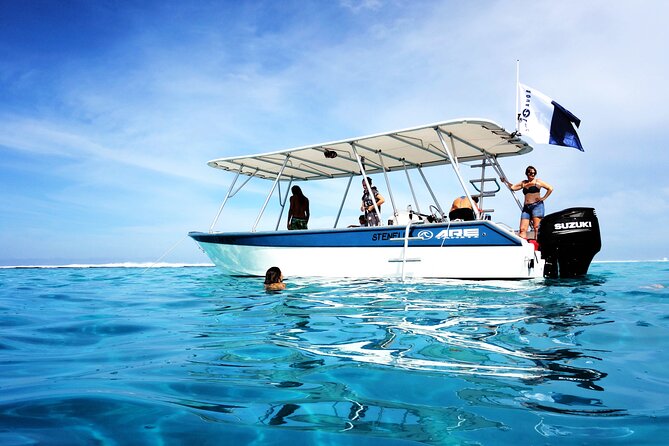 Whale watching on the preserved and quiet coast of Paea (Pk26) - Comfort, safety, and the rough-water question