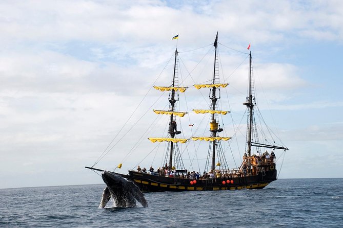 Whale-Watching Pirate Ship Cruise in Los Cabos - Starting at CaboMarina at 9 a.m.