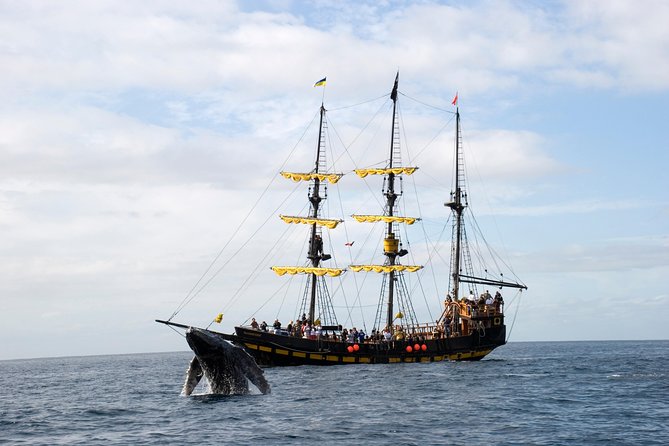 Whale-Watching Pirate Ship Cruise in Los Cabos - Breakfast before the whale action