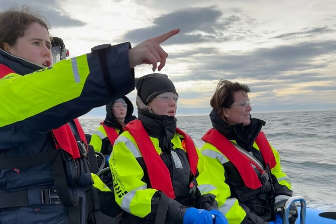 Whale Watching - RIB Boat Adventure in Kopavogur, Iceland - Why this Kópavogur departure works well