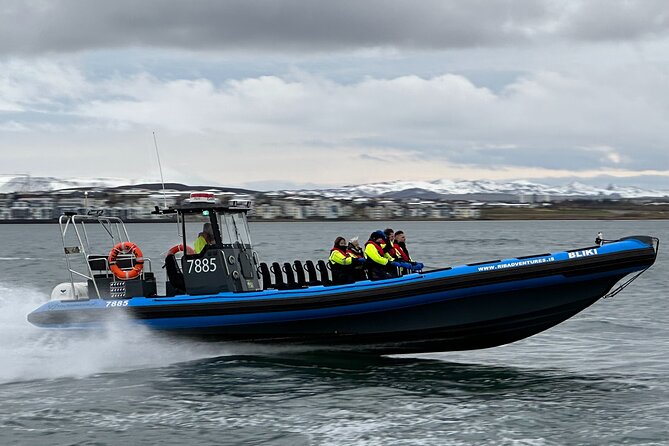 Whale Watching - RIB Boat Adventure in Kopavogur, Iceland - Skerjafjörður and the open Atlantic search